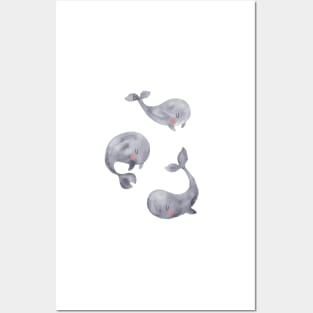 Gray baby whales Posters and Art